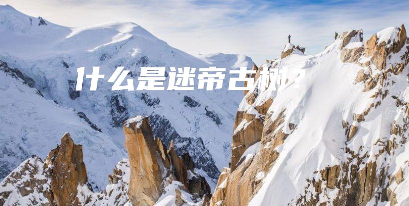 什么是迷帝古樹？插圖