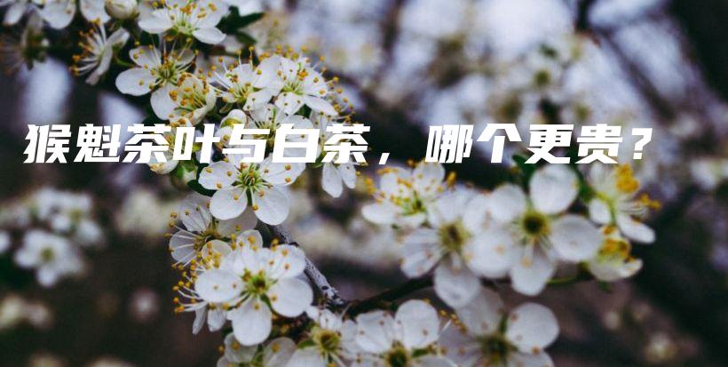 猴魁茶葉與白茶，哪個更貴？插圖