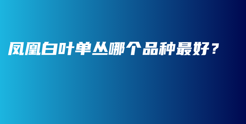 鳳凰白葉單叢哪個(gè)品種最好？插圖