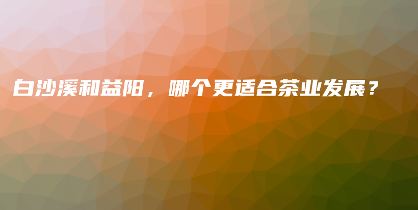 白沙溪和益陽，哪個更適合茶業(yè)發(fā)展？插圖