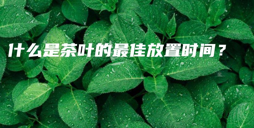 什么是茶葉的最佳放置時間？插圖
