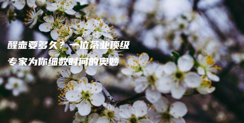 醒壺要多久？一位茶業(yè)頂級專家為你細(xì)數(shù)時間的奧妙插圖