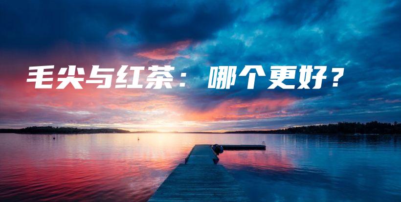 毛尖與紅茶：哪個(gè)更好？插圖