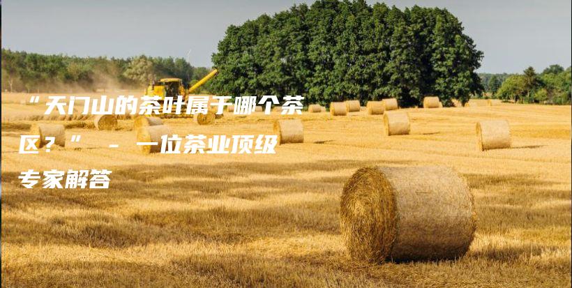 “天門山的茶葉屬于哪個(gè)茶區(qū)？” – 一位茶業(yè)頂級專家解答插圖