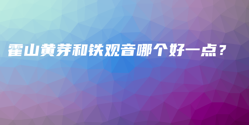 霍山黃芽和鐵觀音哪個(gè)好一點(diǎn)？插圖