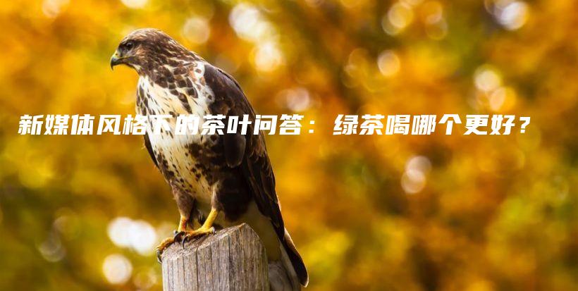 新媒體風格下的茶葉問答：綠茶喝哪個更好？插圖