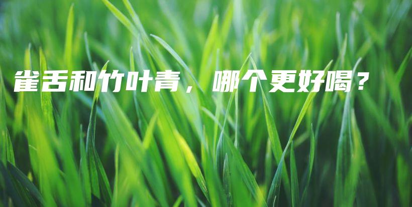 雀舌和竹葉青，哪個更好喝？插圖