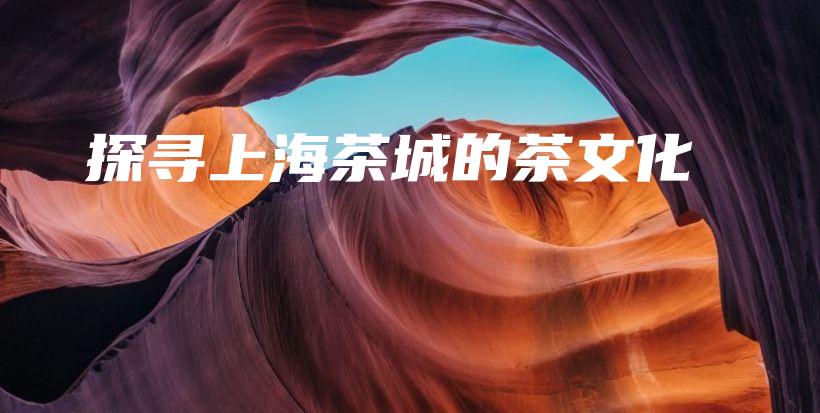 探尋上海茶城的茶文化插圖