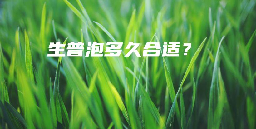 生普泡多久合適？插圖