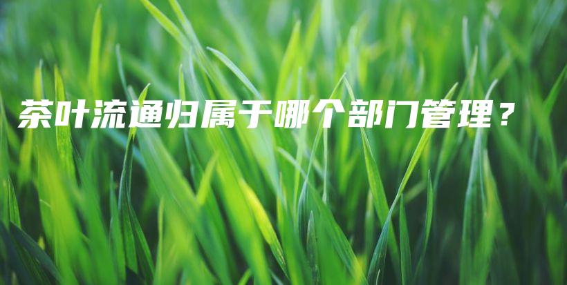 茶葉流通歸屬于哪個部門管理？插圖
