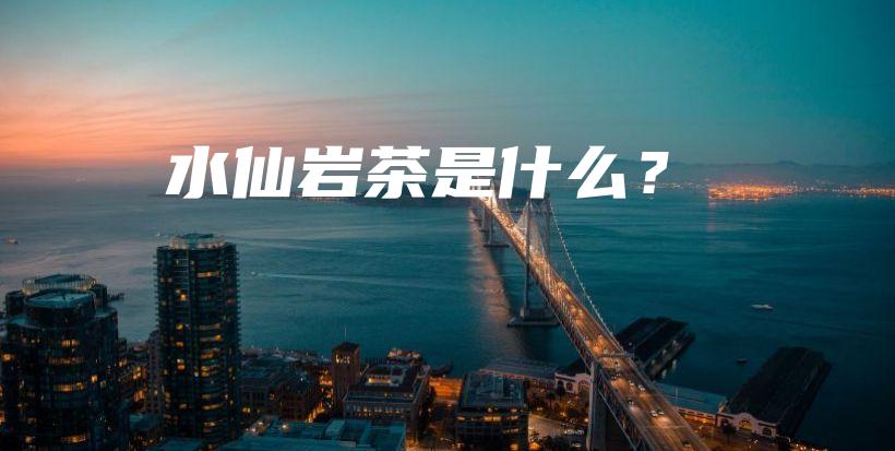 水仙巖茶是什么？插圖