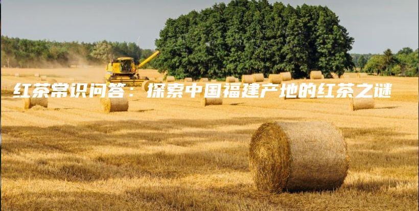 紅茶常識問答：探索中國福建產(chǎn)地的紅茶之謎插圖