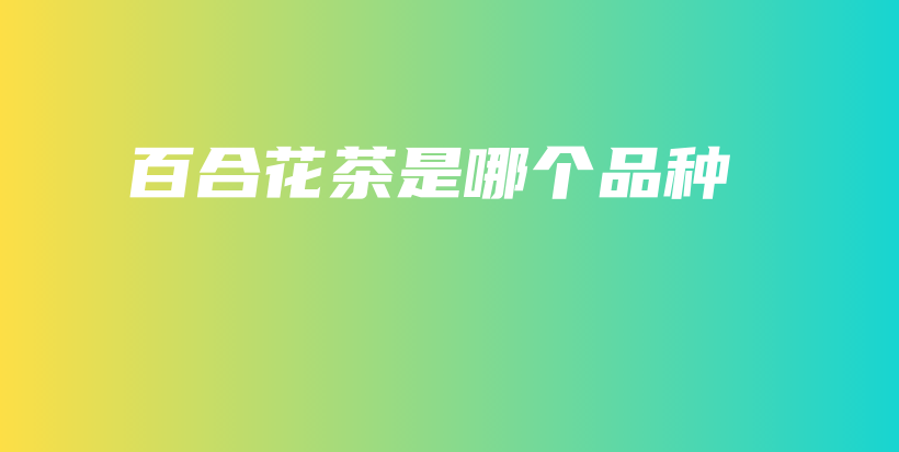 百合花茶是哪個(gè)品種插圖