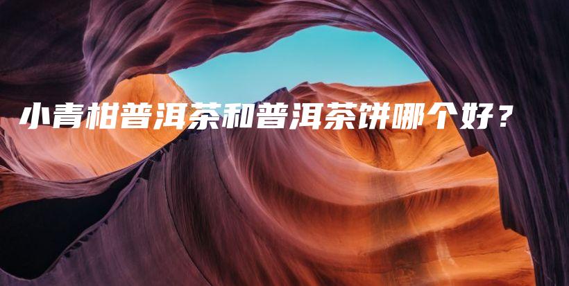 小青柑普洱茶和普洱茶餅?zāi)膫€(gè)好？插圖
