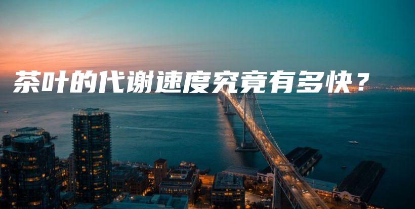 茶葉的代謝速度究竟有多快？插圖