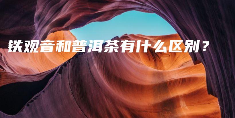 鐵觀音和普洱茶有什么區(qū)別？插圖