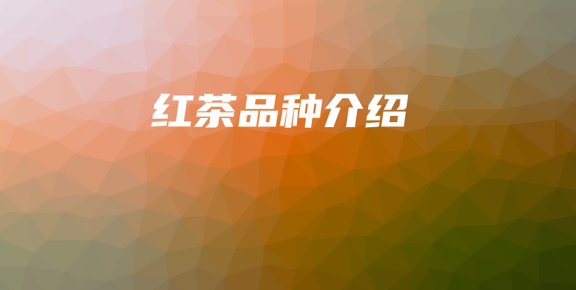 紅茶品種介紹插圖