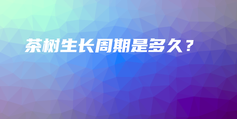 茶樹(shù)生長(zhǎng)周期是多久？插圖