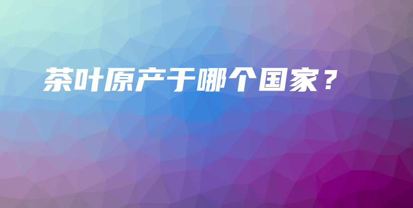 茶葉原產(chǎn)于哪個國家？插圖