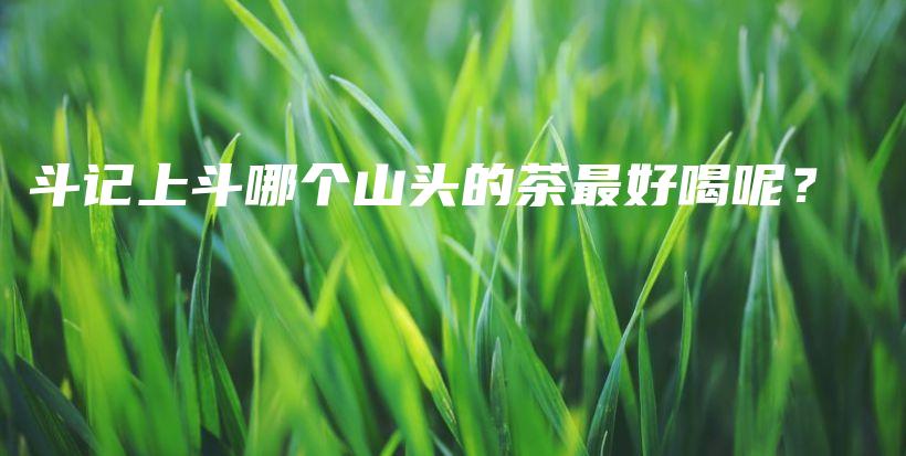 斗記上斗哪個山頭的茶最好喝呢？插圖
