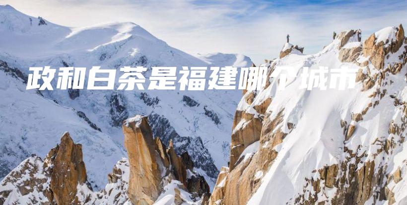 政和白茶是福建哪個城市插圖