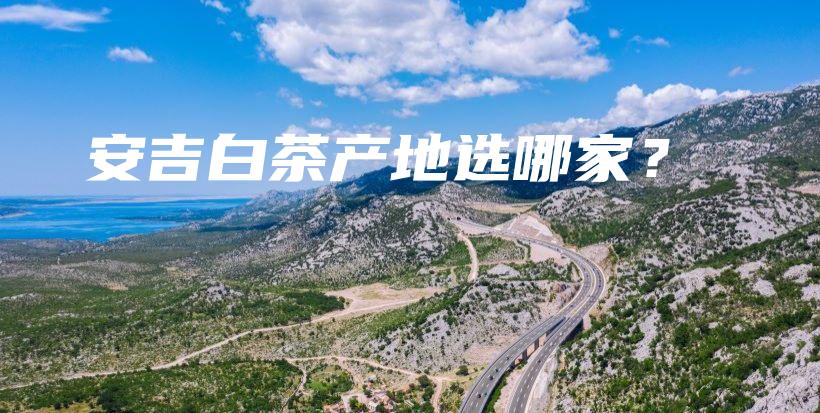 安吉白茶產(chǎn)地選哪家？插圖