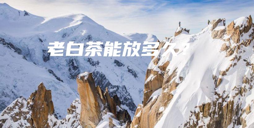 老白茶能放多久？插圖