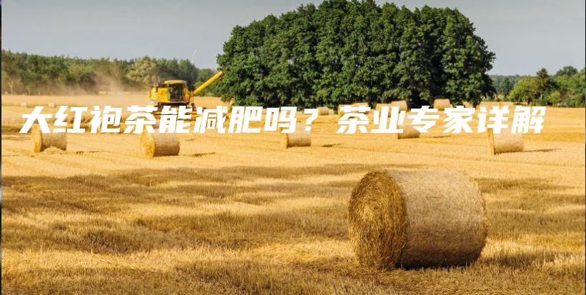 大紅袍茶能減肥嗎？茶業(yè)專家詳解插圖