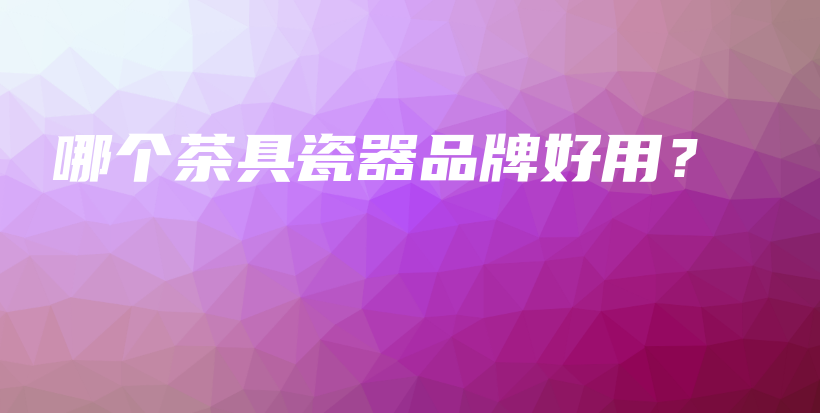 哪個(gè)茶具瓷器品牌好用？插圖