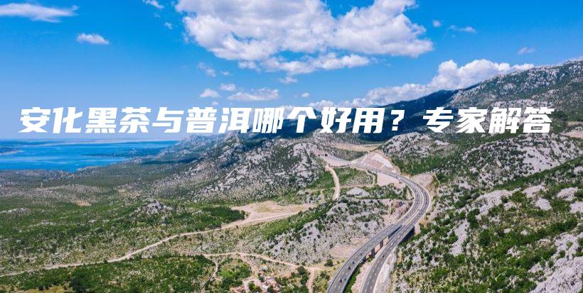 安化黑茶與普洱哪個好用？專家解答插圖