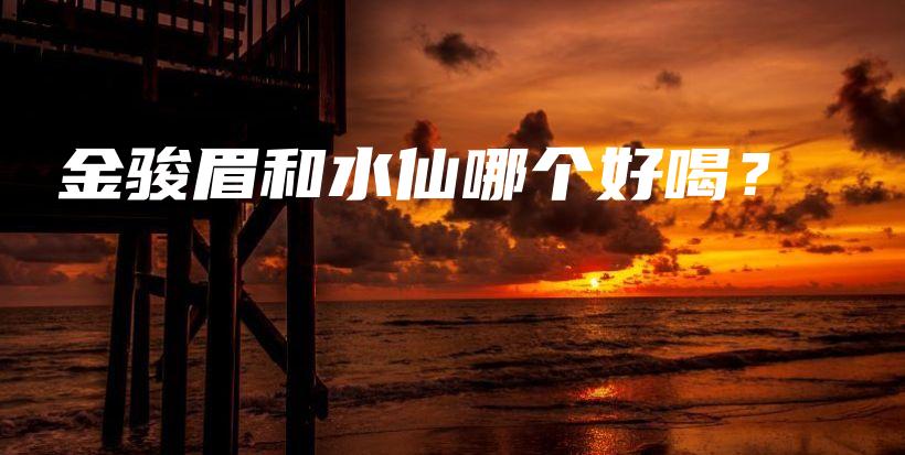 金駿眉和水仙哪個(gè)好喝？插圖