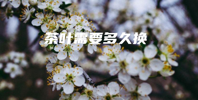 茶葉需要多久換插圖