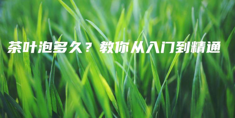 茶葉泡多久？教你從入門(mén)到精通插圖