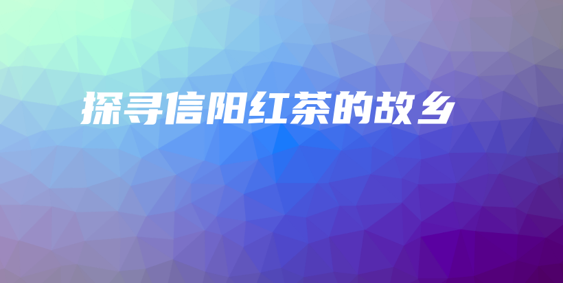 探尋信陽(yáng)紅茶的故鄉(xiāng)插圖