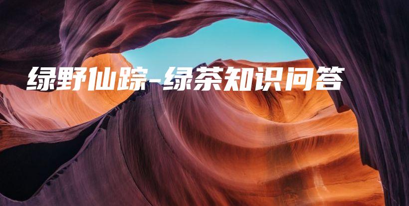 綠野仙蹤-綠茶知識(shí)問(wèn)答插圖