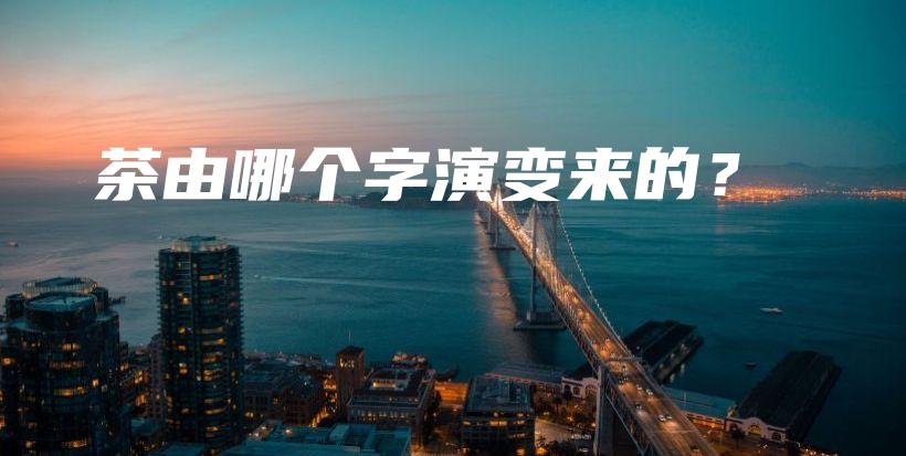 茶由哪個字演變來的？插圖