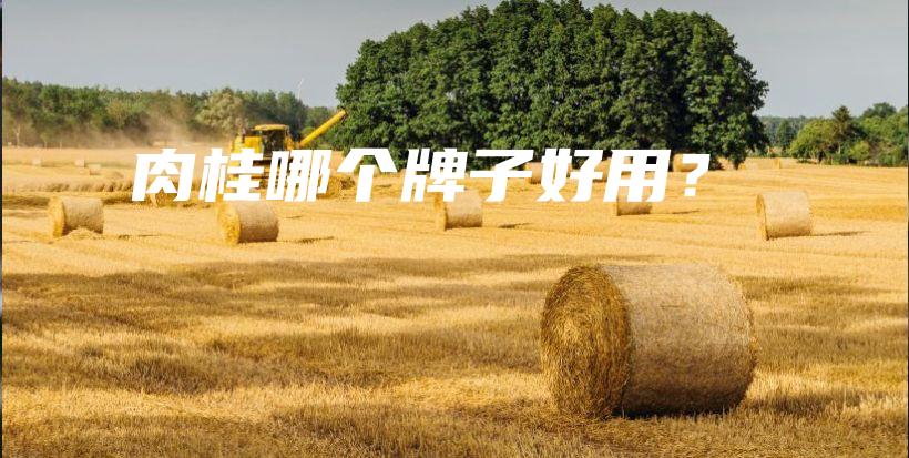肉桂哪個牌子好用？插圖