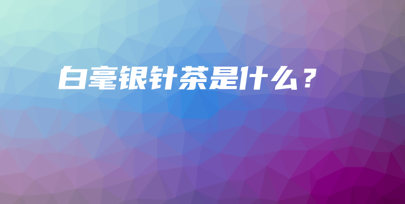 白毫銀針茶是什么？插圖