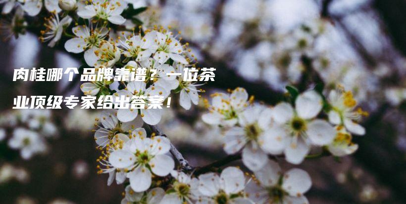 肉桂哪個品牌靠譜？一位茶業(yè)頂級專家給出答案！插圖