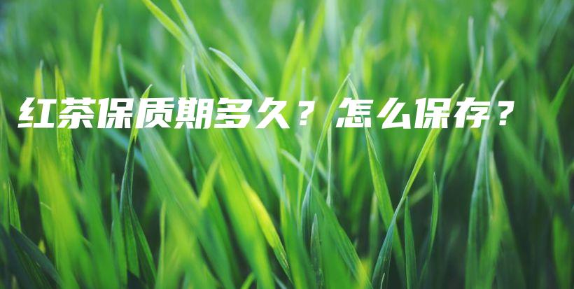 紅茶保質(zhì)期多久？怎么保存？插圖