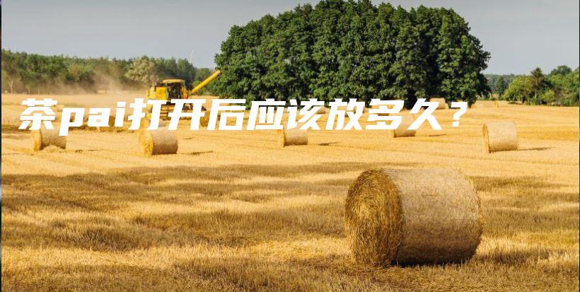 茶pai打開(kāi)后應(yīng)該放多久？插圖