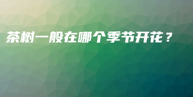 茶樹一般在哪個季節(jié)開花？插圖