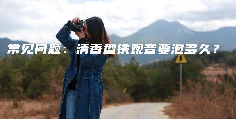 常見問題：清香型鐵觀音要泡多久？插圖