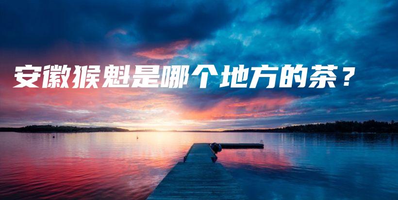 安徽猴魁是哪個地方的茶？插圖