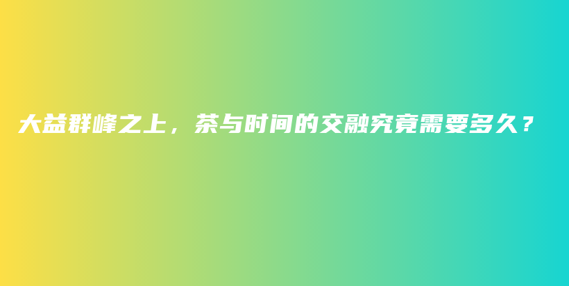 大益群峰之上，茶與時間的交融究竟需要多久？插圖