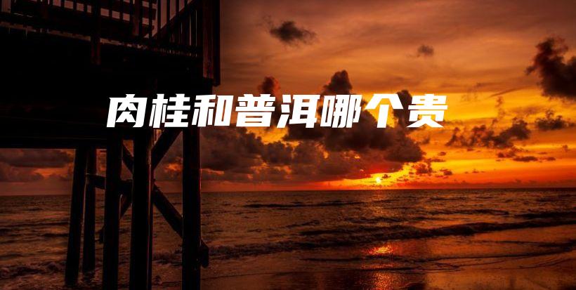 肉桂和普洱哪個(gè)貴插圖