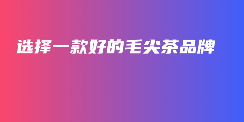 選擇一款好的毛尖茶品牌插圖