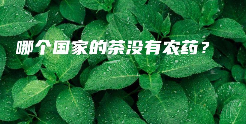 哪個國家的茶沒有農(nóng)藥？插圖