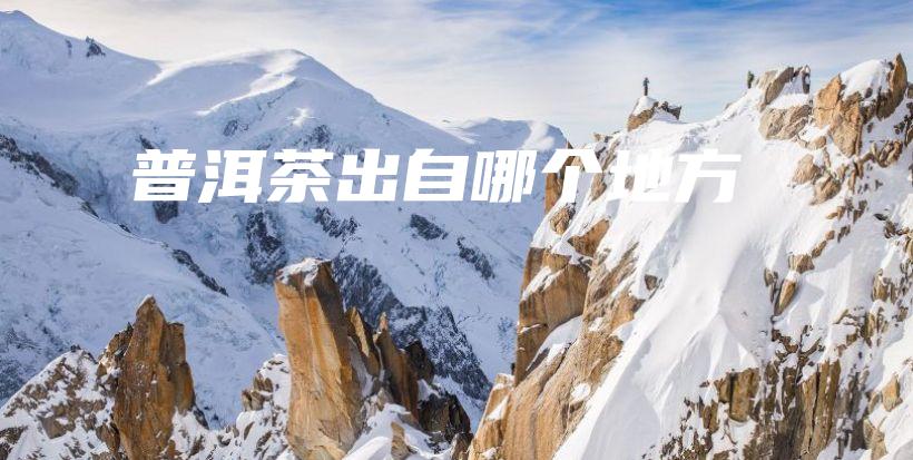 普洱茶出自哪個(gè)地方插圖