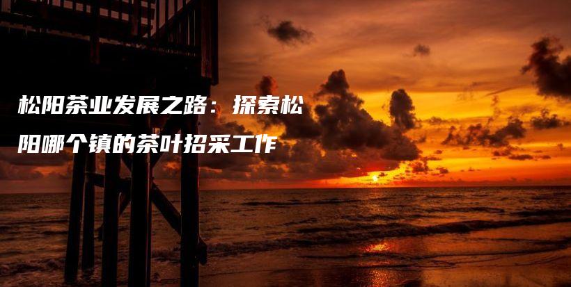 松陽茶業(yè)發(fā)展之路：探索松陽哪個鎮(zhèn)的茶葉招采工作插圖